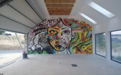 Mural Street Art Indoor koło Rzeszowa