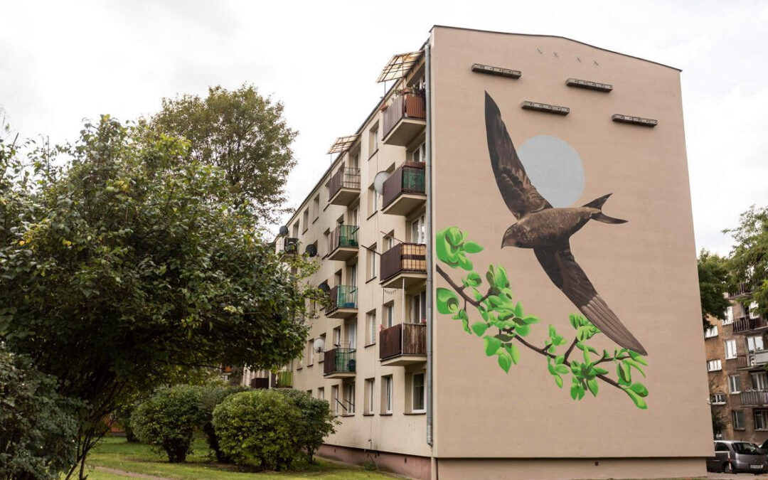 Jeżyk – mural w Radomiu
