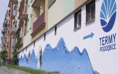 Mural dla term w Poddębicach